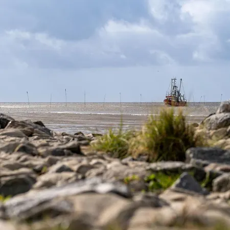 Hébergement de vacances Mellumplate 52 Dorumer Neufeld