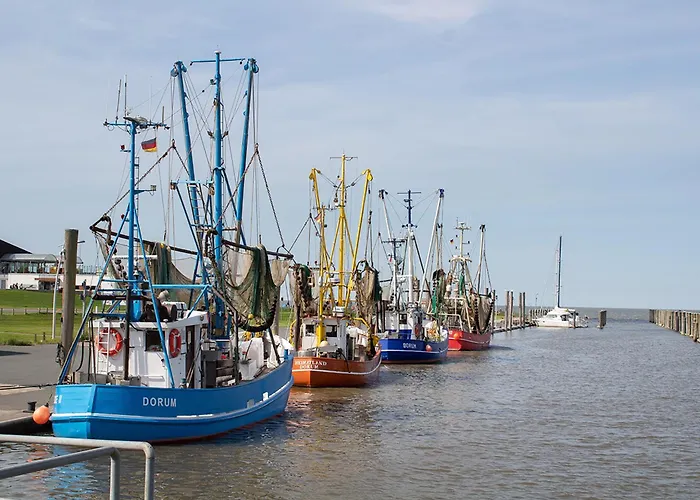 بيت للعطل Mellumplate 52 *