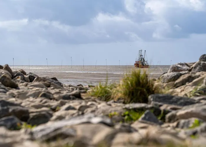 بيت للعطل Mellumplate 52 دورم نيوفيلد